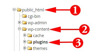 Paste Your Plugins In wp-contant-plugins