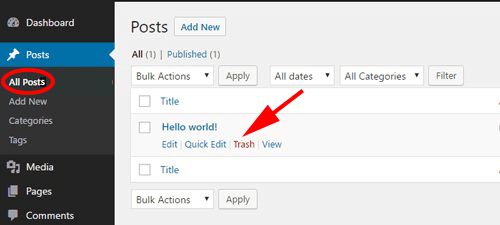 Delete default WordPress post