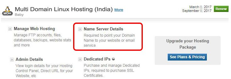Hosting Name Server Details