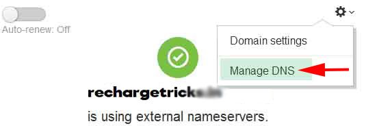 godaddy manage DNS details