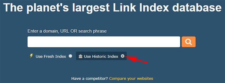 check historic backlink profile