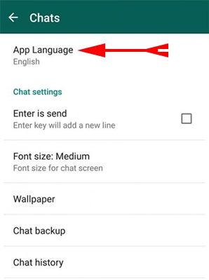 Select-whatsapp-app-language-for-chat