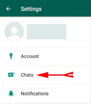 choose-whatsapp-chats-section