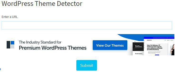 The Seo Tools for website theme detector