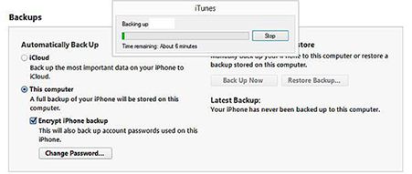 iPhone contact backup