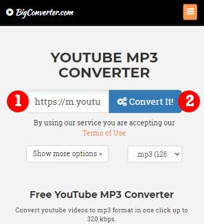 online video converter