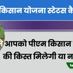 PM Kisan Status Check in Hindi